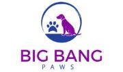 Big Bang Paws